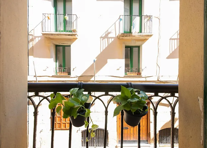 Old Town Homestay